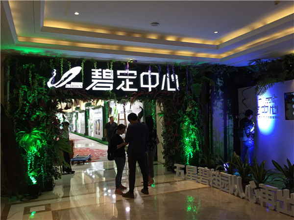 案例展示